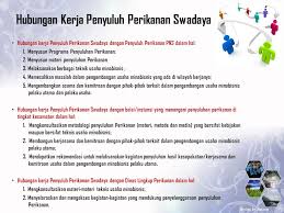 Cara mudah menyusun dupak penyuluh perikanan seri #4 pelaksanaan penyuluhan perikanan mars bangkit penyuluh perikanan cipt: Gaji Penyuluh Perikanan Gaji Penyuluh Perikanan Naik Hingga Rp300 Ribu Okezone Economy Proses Penarikan Penyuluh Perikanan Daerah Menjadi Penyuluh Pusat Bukan Tanpa Hambatan Prosesnya Berliku Dan Di Beberapa Daerah Bahkan