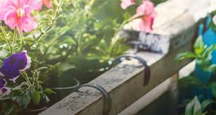 Bei uns erhalten sie nicht nur die fachliche beratung. Gartenversand Garten Shop Gartenversandhaus De