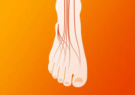 This type of doctor treats a variety of skin disorders namely acne, skin cancer, and over 3000 skin. Peripheral Neuropathy In People With Hiv In Resource Limited Settings Aidsmap