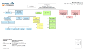 Kaiser Permanente Organizational Structure Chart