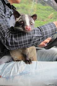 Please confirm that you are not located inside the russian federation. å¥½æƒ³å¹«æˆ'å®¶æžœå­ç‹¸å‡ºæ›¸ Mobile01