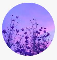 Over 40,000+ cool wallpapers to choose from. Aesthetic Circle Icon Purple Flowers Flower Purpleaesth Aesthetic Purple Flower Transparent Hd Png Download Transparent Png Image Pngitem