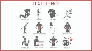 Image result for Flatulence