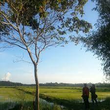 Program suai kenal minggu silaturahim ( msr ) antara pelajar baru sem 1 di kolej kemahiran tinggi pasir mas don't forget to. Kompleks Mahkamah Pasir Mas Baru Pasir Mas Kelantan