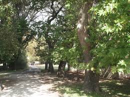 We did not find results for: Bolta Sto Panemorfo Basiliko Kthma Sto Tatoi In Gr