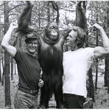 Any which way you can, which was largely a rehash of the first movie. Every Which Way But Loose Moviescenesandstills Clint Eastwood Movies Clint Eastwood Actor Clint Eastwood