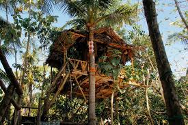 Come in, learn the word translation bengkok and add them to your flashcards. Holiday Park Nyuh Bengkok Tree House Nusa Penida Indonesia Booking Com