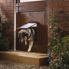 Use the holes drilled as the starting point for cutting the opening with the jigsaw. Installing A Pet Door All You Should Know How To Install A Pet Door Types Of Pet Doors And Installation Guide