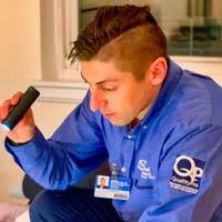 COVID and the Inadvertent Rise of the American Roach