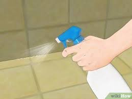 Apply gentrol inside your kitchen and throughout your home, using the straw tip to apply the spray to cracks and crevices, wall holes and behind appliances. 3 Ways To Kill Maggots Wikihow