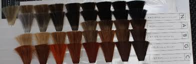 Corrective Hair Colour Charts Back2myroots