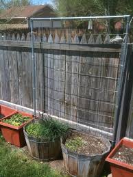 6 Davon Fur Meinen Zur Schau Getragenen Garten Im Hinterhof Gebaut Seht Wie Es Im Juli Kommt Diy Trellis Diy Garden Trellis Trellis