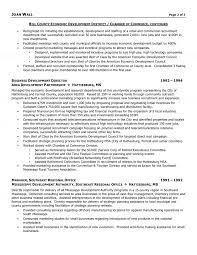 Human resources ** please note this position is a 1 year term assignment ** provides compensation expert…. Non Profit Executive Resume