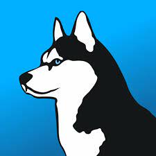 What's more, customer service is online 24/7！ Phone Guardian Vpn Safe Wifi 2 12 0 Apk Download By App Annie Basics Apkmirror