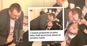 Rvačka poslance volného pobavila internet, vtipů jsou desítky. Rvacka Ve Snemovne Volny Si Sundal Rousku A Priste Prijde S Advokatkou Blesk Cz
