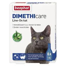 Fleas are irritating and uncomfortable for your pet, but they can also be very dangerous for kittens and frail cats because the blood loss can lead to anaemia. Beaphar Flea Treatment Dimethicare Line On Cat 6 Pipettes Agradi Com