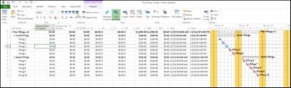 Using Microsoft Project Evm For Earned Value Management