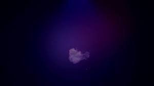 @M_ikin2s video Tweet