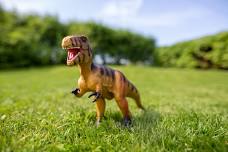 Prehistoric Times