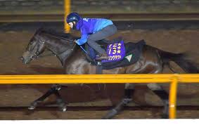 4:20 jiku kake 9 306 просмотров. ã‚¯ã‚¤ãƒ¼ãƒ³ã‚¨ãƒªã‚¶ãƒ™ã‚¹2ä¸–c2021æœ€æ–°æƒ…å ± æ—¥æœ¬é¦¬ãŒé¦™æ¸¯ã§èºå‹•ã—ä¸–ç•Œã«ãã®åã‚'è½Ÿã‹ã™ ç«¶é¦¬äºˆæƒ³ Netkeiba Com