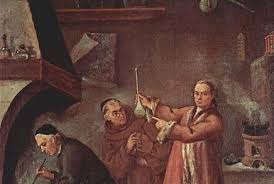 Image result for Vangueria albosetulosa