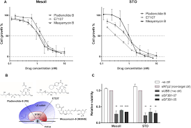 We did not find results for: Splicing Modulation As Novel Therapeutic Strategy Against Diffuse Malignant Peritoneal Mesothelioma Ebiomedicine