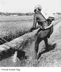 Chapitre 64 L Agriculture Et Les Secteurs Connexes