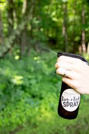 There are many plants that naturally deter insects, including mosquitoes. Homemade Natural Bug Repellent For Mosquitos Ticks And More