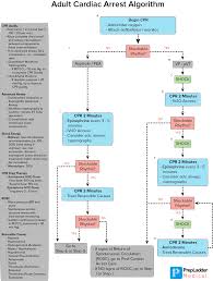The company is headquartered at 1095 avenue of the americas in midtown manhattan, new york city, but is incorporated in delaware. Acls Algorithm Adult Cardiac Arrest Prepladder