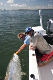 Best Practices For Catch Release Fishing For Tarpon