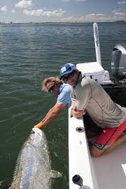 best practices for catch release fishing for tarpon