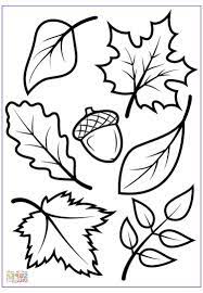Sep 25, 2018 · autumn or fall leaves coloring pages free printable by alizah updated on august 13, 2020 september 25, 2018 every year, various parts of the world, are covered in bright and vibrant colors bestowed by the fall foliage. 15 Elegant Fall Coloring Sheets Printable Photos Printable Fall Leaves Leaf Template 15 Elegan Leaf Coloring Page Fall Coloring Sheets Fall Coloring Pages