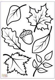 We have collected 39+ leaves coloring page to print images of various designs for you to color. 15 Elegant Fall Coloring Sheets Printable Photos Printable Fall Leaves Leaf Template 15 Elegant Fall Coloring Sheets Leaf Coloring Page Fall Leaf Template