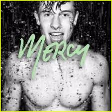 Shawn Mendes Drops Brand New Song 'Mercy'