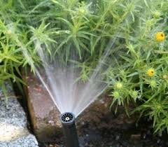 Automatische Gartenbewasserung Gartenbewasserung Bewasserungsanlage Bewasserung Gartenbewasserung Garten