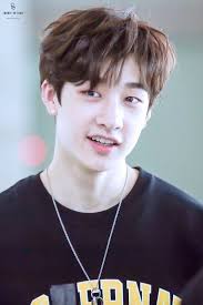 Pin By Nicole On Stray Kids Stray Kids Chan Stray Kids