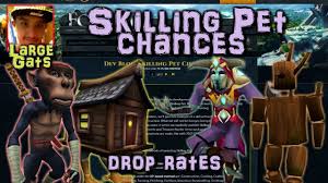 The rating system was no longer relevant to correctly. Skilling Pet Chances Drop Rates Revealed Youtube