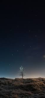 Maybe you would like to learn more about one of these? Iphone Pro Max 2021 Wallpapers Wallpaper Cave