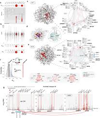 Dengar hot fm live di ruclip hot tv. A Chromosomal Connectome For Psychiatric And Metabolic Risk Variants In Adult Dopaminergic Neurons Genome Medicine Full Text