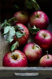 Pin On Delectables