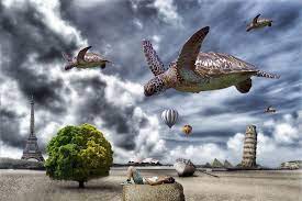 Flying Turtles Cool Art Art Fantasy