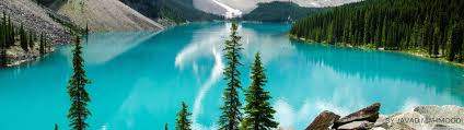 Check out this fantastic collection of 4k dual monitor wallpapers, with 59 4k dual monitor background images for your desktop, phone or tablet. Nature Dual Monitor Wallpaper 3840x1080