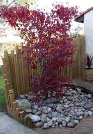 epingle sur planting