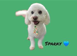 More adorable faces from today. 😍