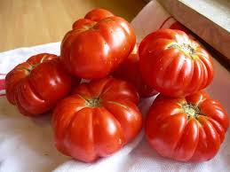Se trata de una fruta con cualidades de verdura que lo hace en ideales para su uso forma cruda. Karakteristika Anvendelser Og Dyrkning Af Marmande Tomat Havearbejde Pa