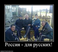 NETCAT_BBCODE_IMG