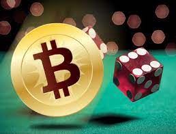 With these free bitcoin credits the player can test the casino software and play without risking his own bitcoins. Top 3 Bitcoin Online Casinos In 2021 Listing 280 Casinos Accepting Bitcoin