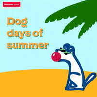 Make your own images with our meme generator or animated gif maker. Summer Time Party Sticker For Ios Android Giphy