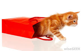 Salary, married, wedding, spouse, family. Ktemoc Konsiders Elyas Omar An Undeniable Part Of Kl History