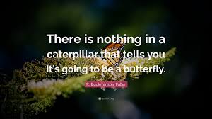 Find & download free graphic resources for catapillar. R Buckminster Fuller Quote There Is Nothing In A Caterpillar That Tells You It S Going To
